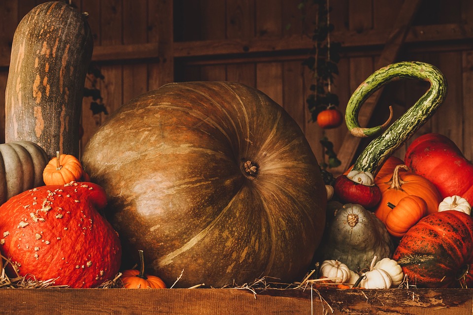 Come organizzare una festa di Halloween in perfetto stile Hipster