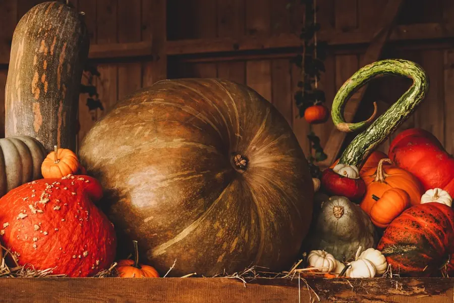 Come organizzare una festa di Halloween in perfetto stile Hipster