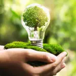 ITS Green offre corsi all'avanguardia per chi desidera approfondire temi legati all'ecosostenibilità e all'innovazione verde